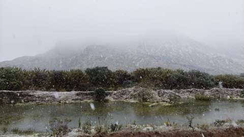 Después de 60 años volvió a nevar en Sumapaz, ¿muestra del cambio climático en Bogotá?