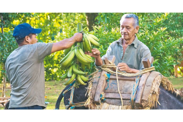A Macayepo retornó la esperanza