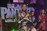 Chadwick Boseman recibe doble nominación póstuma en los SAG 2021