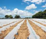 Trabajar la tierra para reconciliarse con el territorio