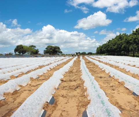 Trabajar la tierra para reconciliarse con el territorio
