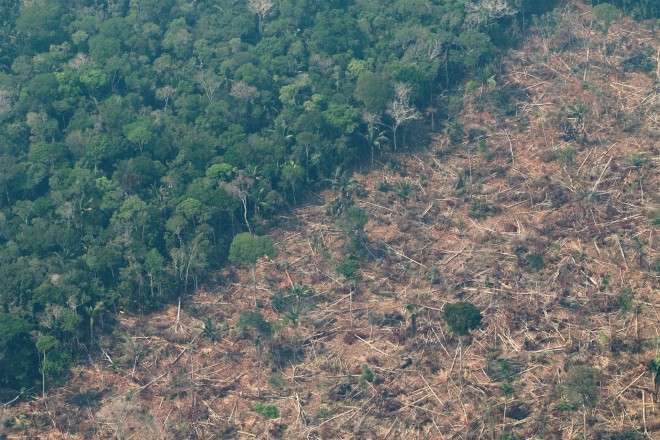 Vista de un área deforestada en Porto Velho, Rondonia, Brasil.