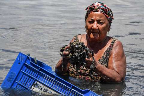 Venezuela o un barco griego, ¿de dónde salió el petróleo que causa crisis ambiental en Brasil?