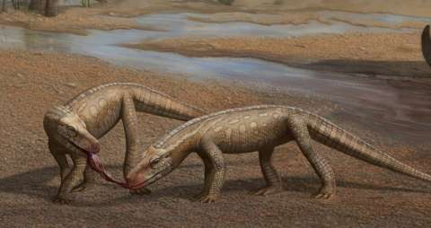 Descubrieron en Brasil a un pequeño reptil de hace 200 millones de años