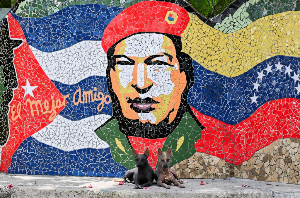 Two dogs rest in front of artwork by Cuban artist Jose Fuster depicting late Cuba's leader Fidel Castro (L) and late Venezuela's President Hugo Chavez in the seaside village of Jaimanitas on the outskirts of Havana on April 30, 2025.