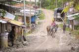 Los crímenes desconocidos de San José de Apartadó
