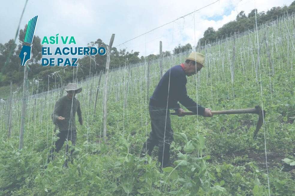 A 31 de marzo de 2020, al Fondo de Tierras, estipulado en el Acuerdo, han sido transferidas 1’000.404 hectáreas, poco más del 30 % de la meta estipulada. Sin embargo, aún no se ha adjudicado un solo predio a campesinos. / EFE