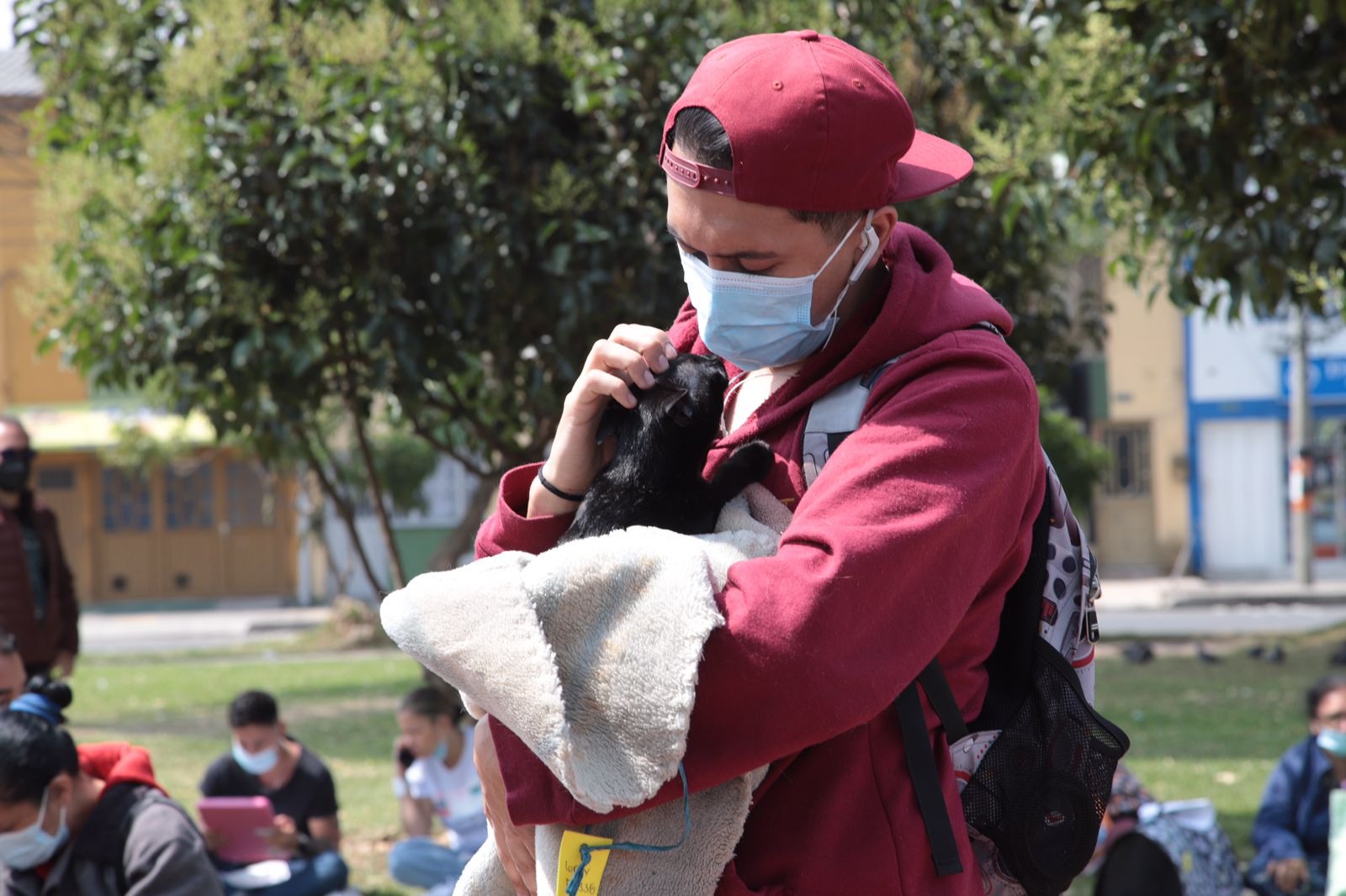 Esterilización gratuita para perros y gatos en Bogotá: abren 1.950 cupos