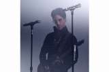 Prince contra sus fans
