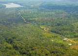 El conflicto por las tierras de una carretera en medio de las selvas de Vaupés