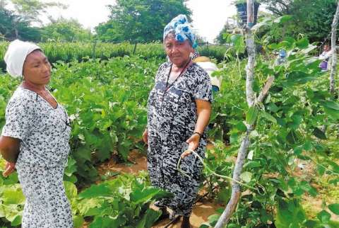 El camino hacia la equidad de género en la ruralidad