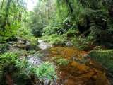 Reservas naturales: donde la vida se restaura y se conserva