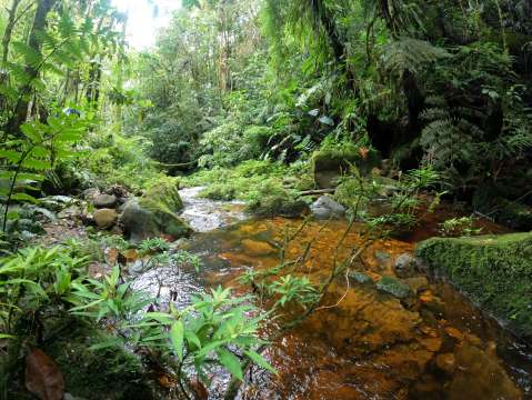 La defensa del agua, una prioridad para los santandereanos