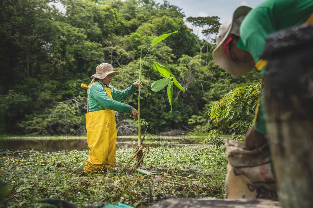 Mujeres mojaneras lideran la rehabilitación ecológica de los ecosistemas acuáticos.
