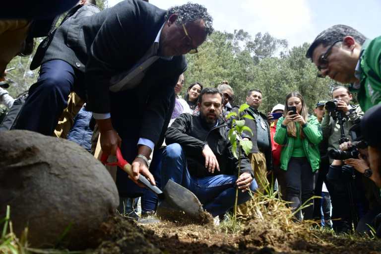 Los proyectos restaurativos son una llamada de la vida: presidente de la JEP