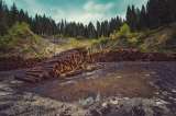 La biodiversidad se sigue deteriorando peligrosamente en todas las regiones del mundo