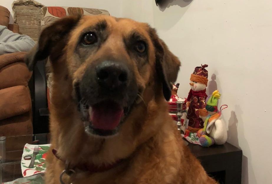 Kaina. de 15 años, desapareció durante la noche del 24 de diciembre.