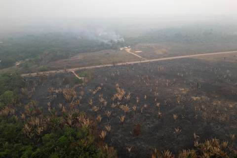 La deforestación en Colombia creció frente a 2024: en 2025 el país perdió 119.000 hectáreas