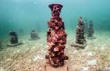 Un museo submarino protege a los corales en el Caribe colombiano