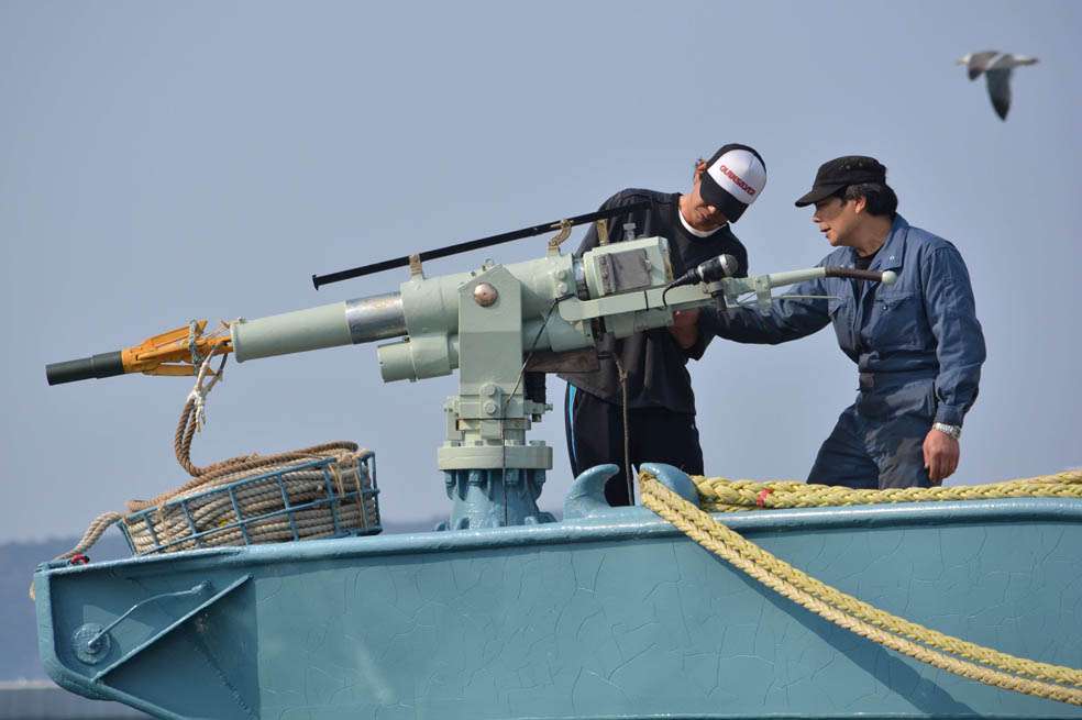 Marineros japoneses inspeccionan un arpón a su salida del puerto de Ayukawa para la temporada de caza en aguas del Pacífico Norte. / AFP
