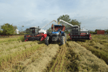 Así ordenan el campo en el Sur del país para la productividad