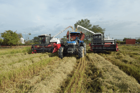 Así ordenan el campo en el Sur del país para la productividad