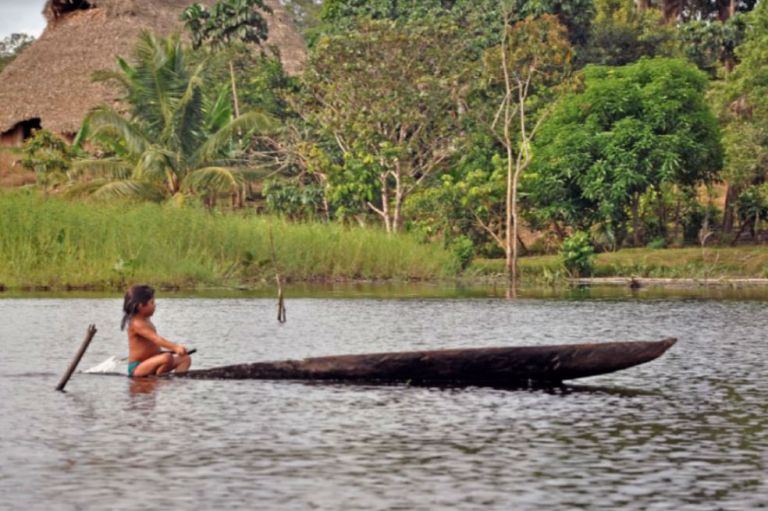 Consulta previa, una deuda con la Amazonia