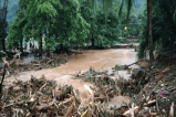 Bahía Solano, en emergencia por desbordamiento de quebrada