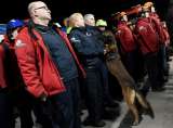 En fotos: perros de rescate integran equipos de búsqueda tras terremoto en Turquía