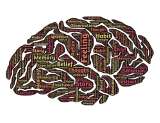 Biodescodificación y la enfermedad como respuesta del cerebro