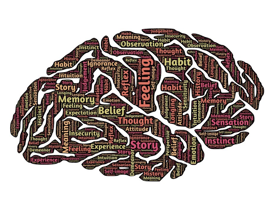 Biodescodificación y la enfermedad como respuesta del cerebro