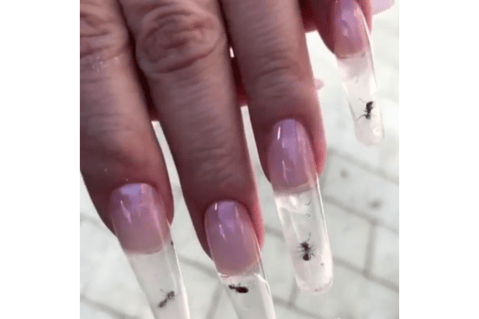 ¿Hormigas atrapadas en uñas acrílicas? La propuesta de un salón de belleza