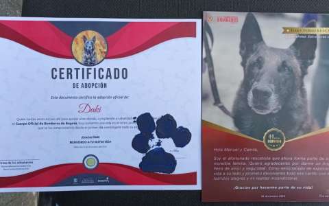 Héroes caninos y equinos se jubilaron con honores y encontraron un nuevo hogar