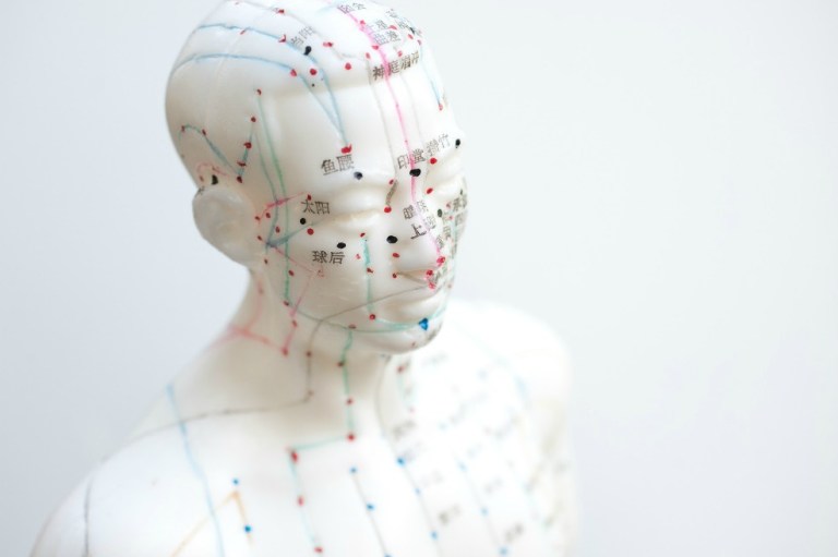 A estudiar medicina con maniquís