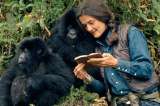 Dian Fossey, una "heroína del conservacionismo" con un lado oscuro