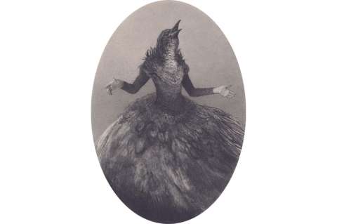 Alejandro García, el dibujante-pájaro