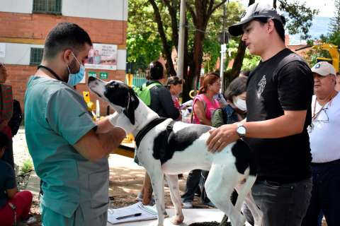 Abren 5.000 cupos para esterilizar a perros y gatos en Medellín, inscríbase aquí