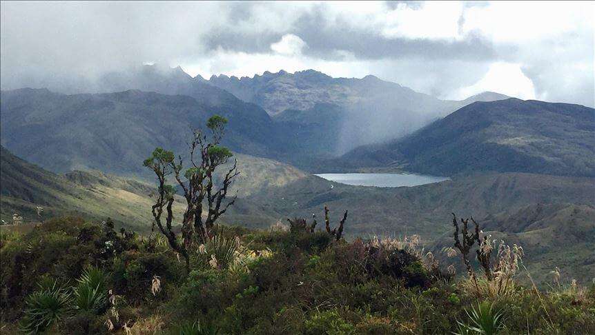 El Parque Nacional Natural Chingaza tiene un ecosistema de páramo vital para las fuentes hídricas que abastecen Bogotá. / Cortesía
