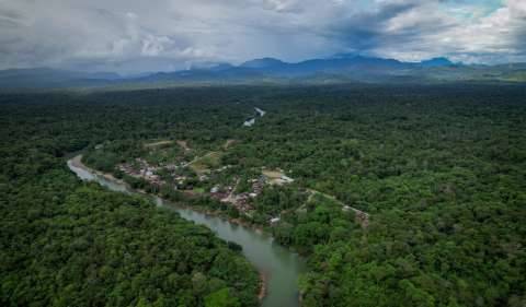 Chocó tiene una nueva área protegida: la selva pluvial- central Siete Sabias