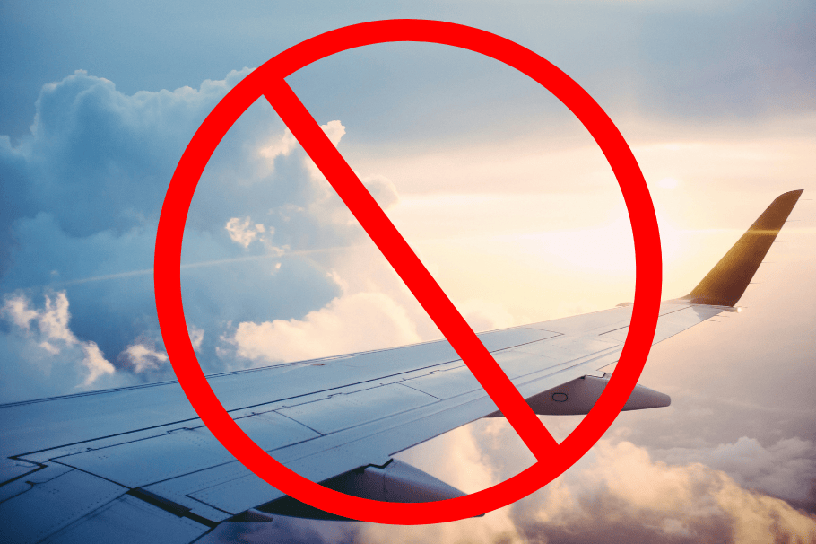 Vuelo Cancelado