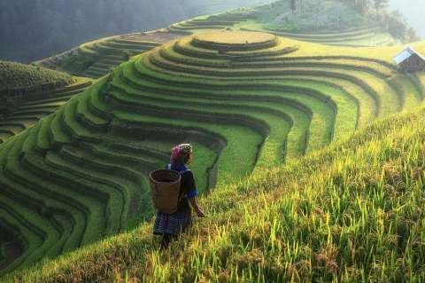 China proyecta aumentar su compra tierras en el extranjero