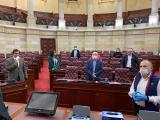 Comisión de Paz es la primera del Senado en sesionar semipresencialmente
