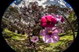 Imágenes que lo invitan a recorrer el Jardín Botánico de Bogotá, el más grande del país