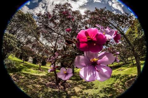 Imágenes que lo invitan a recorrer el Jardín Botánico de Bogotá, el más grande del país