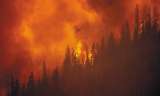 2021: otro año en el que se rompen récords de temperatura por el cambio climático