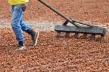El agro y la industria empujan las exportaciones no mineras