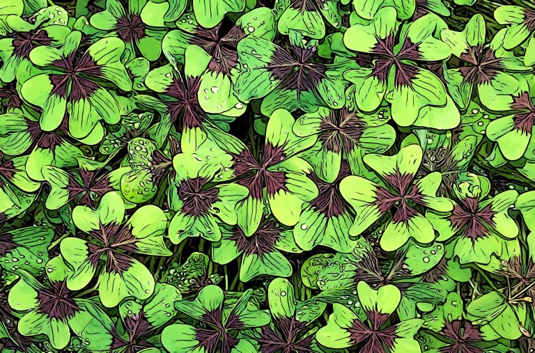 Plantas de buena suerte o la buena suerte de tener cosas bellas y llenas de vida