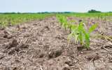 Así es como el Presupuesto de 2027 reducirá la inversión para el agro