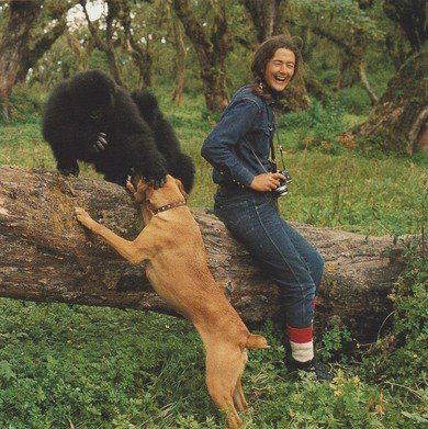 Dian Fossey nació en San Francisco (California), Estados Unidos, el 16 de enero de 1932. / Cortesía