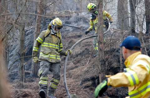 No se deje engañar: así puede ayudar en los incendios forestales, según Bomberos